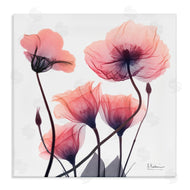 Albert Koetsier | Elegant Modern Poppy Buds