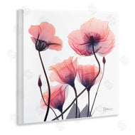 Albert Koetsier | Elegant Modern Poppy Buds