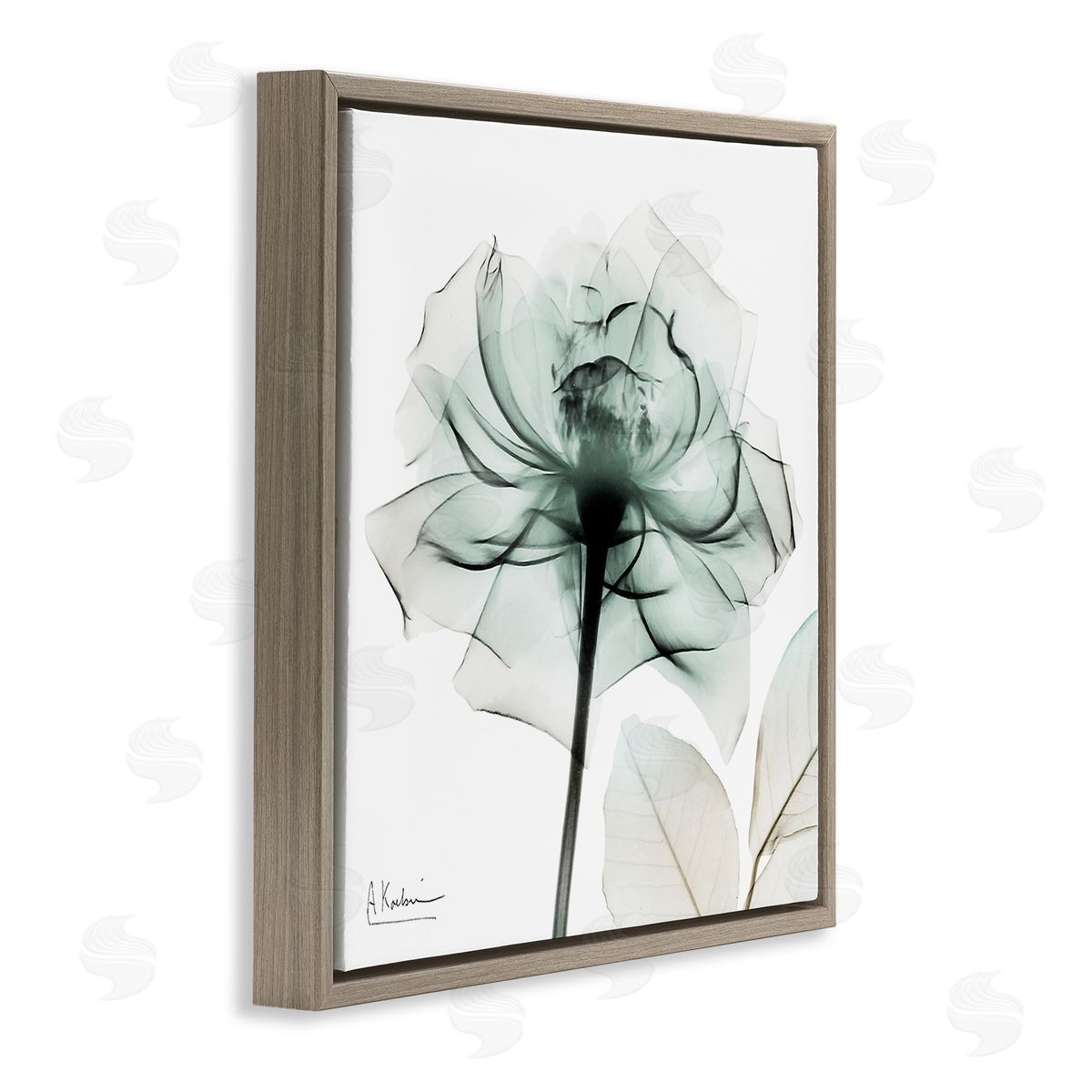 Transparent Flower Blossom Brown Floating Frame Canvas Wall Art, Home Decor by Albert Koetsier