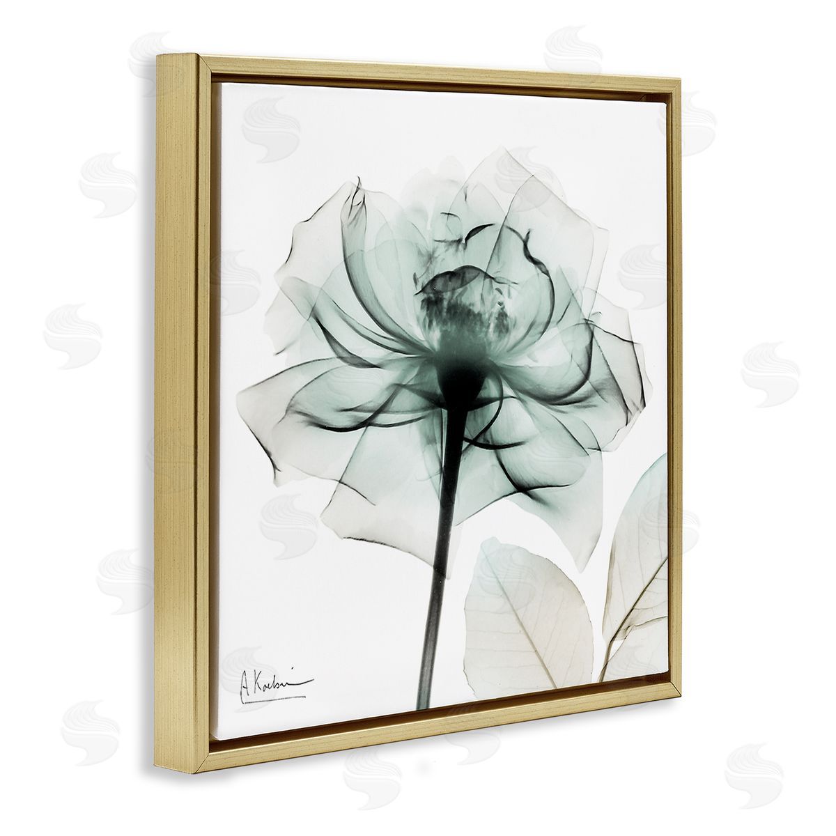 Transparent Flower Blossom Gold Floating Frame Canvas Wall Art, Home Decor by Albert Koetsier
