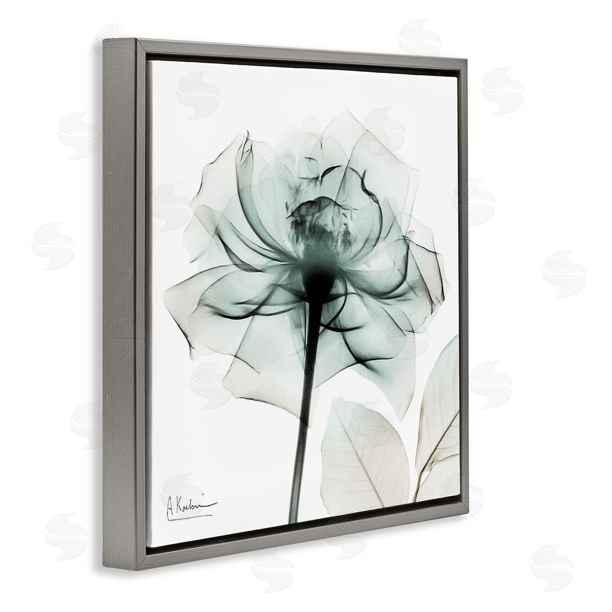 Transparent Flower Blossom Grey Floating Frame Canvas Wall Art, Home Decor by Albert Koetsier