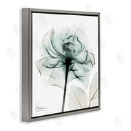 Albert Koetsier | Transparent Flower Blossom