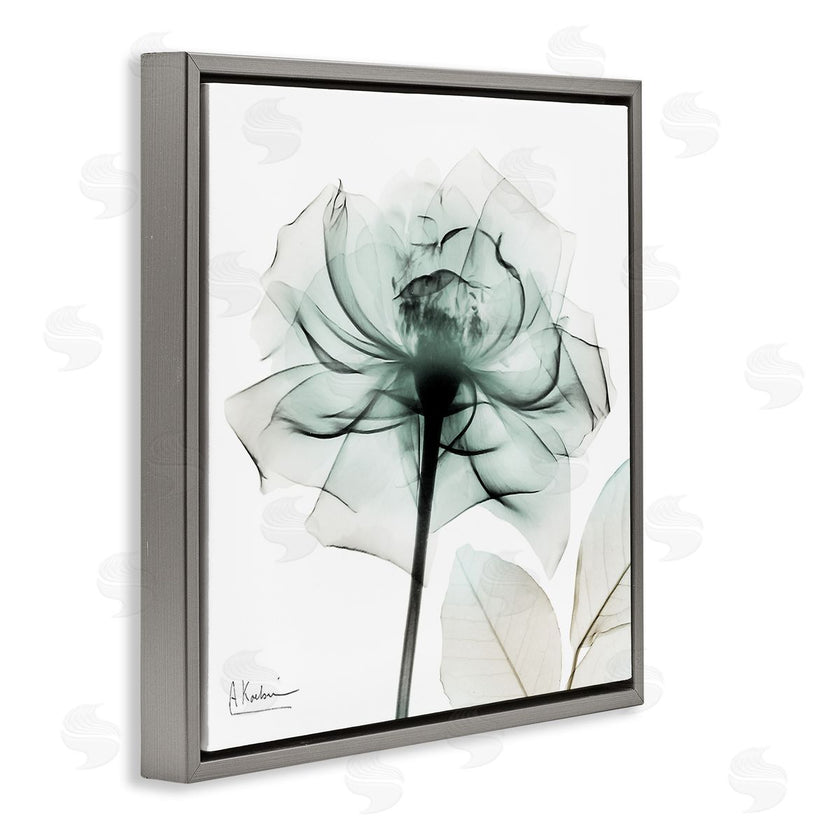 Albert Koetsier | Transparent Flower Blossom