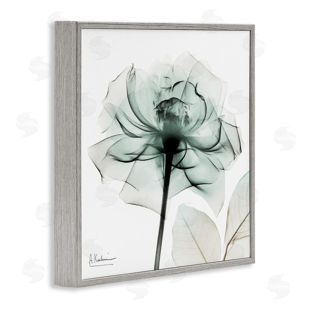 Transparent Flower Blossom Grey Frame Print Wall Art, Home Decor by Albert Koetsier