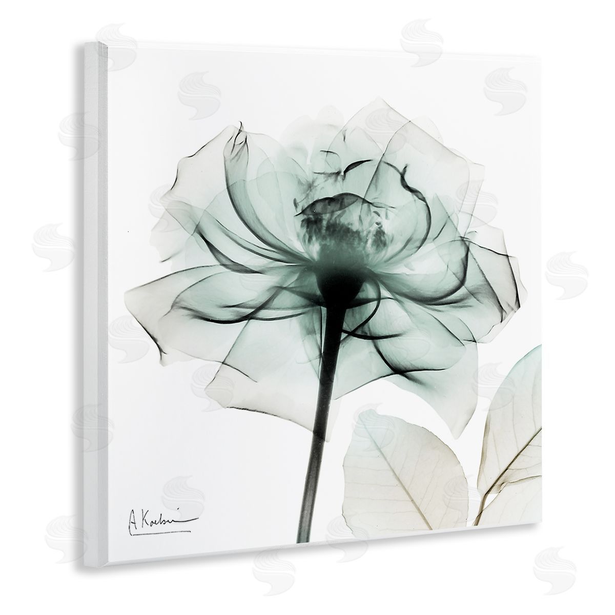 Transparent Flower Blossom Wood Plaque Wall Art, Home Decor by Albert Koetsier