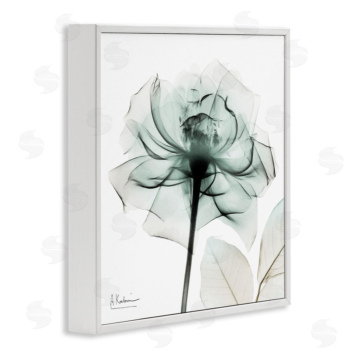 Transparent Flower Blossom White Frame Print Wall Art, Home Decor by Albert Koetsier
