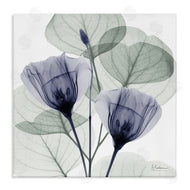Albert Koetsier | Contemporary Eucalyptus & Herbs