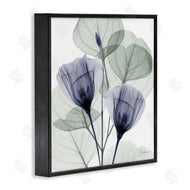 Albert Koetsier | Contemporary Eucalyptus & Herbs