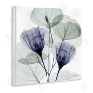 Albert Koetsier | Contemporary Eucalyptus & Herbs