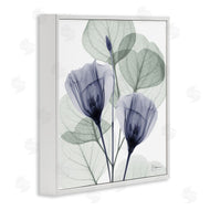 Albert Koetsier | Contemporary Eucalyptus & Herbs