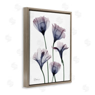 Albert Koetsier | Subtle Fresh Flowers