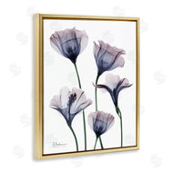 Albert Koetsier | Subtle Fresh Flowers
