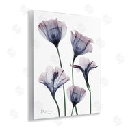 Albert Koetsier | Subtle Fresh Flowers
