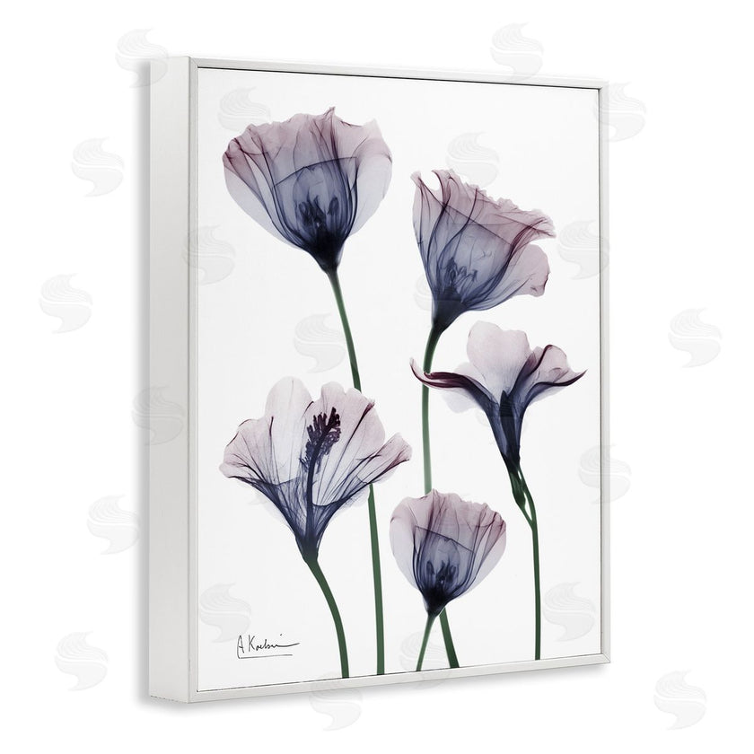 Albert Koetsier | Subtle Fresh Flowers