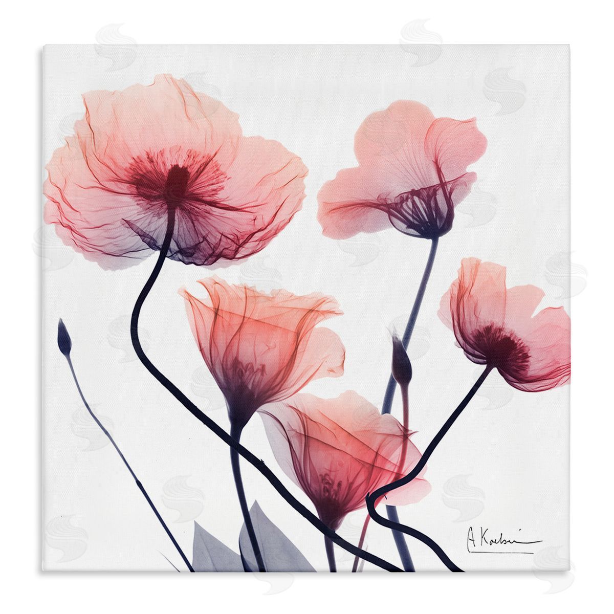 Pink Chic Simple Flowers Canvas Wall Art, Home Decor by Albert Koetsier
