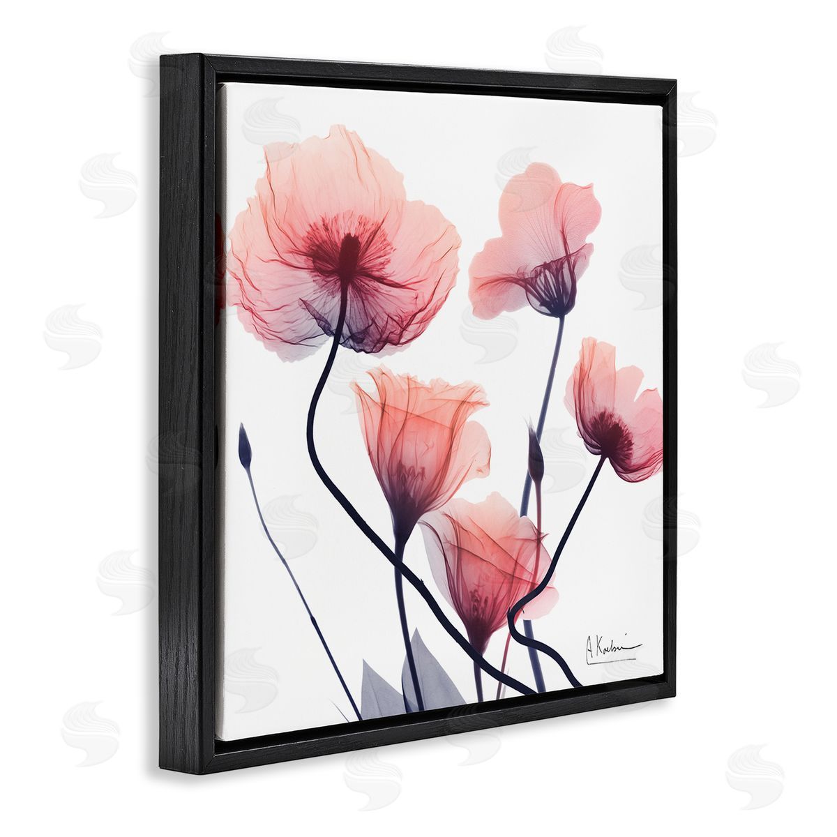 Pink Chic Simple Flowers Black Floating Frame Canvas Wall Art, Home Decor by Albert Koetsier