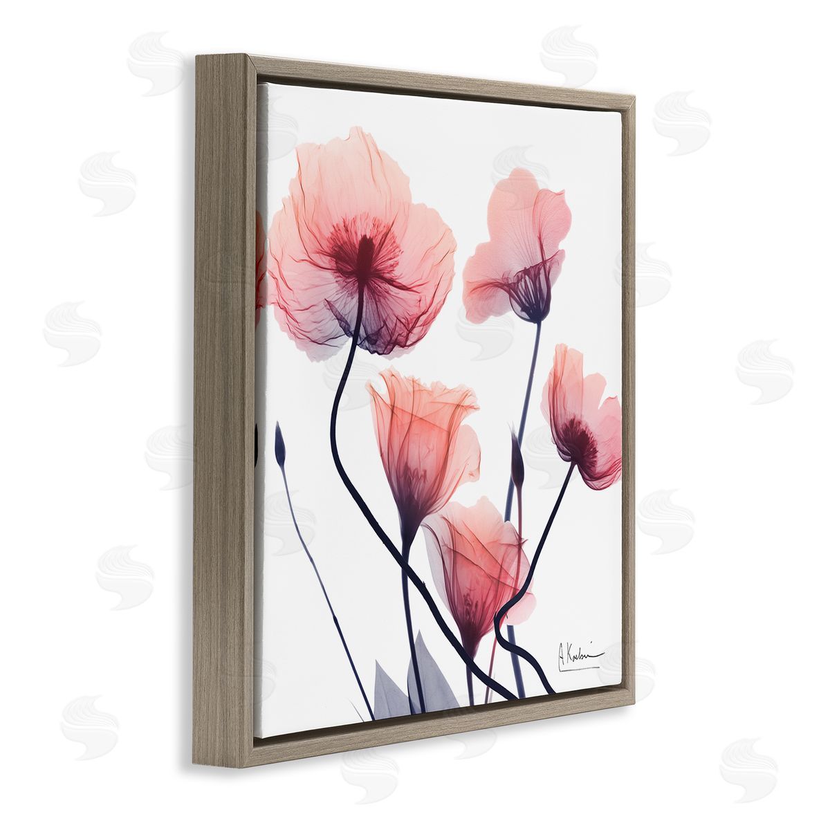 Pink Chic Simple Flowers Brown Floating Frame Canvas Wall Art, Home Decor by Albert Koetsier
