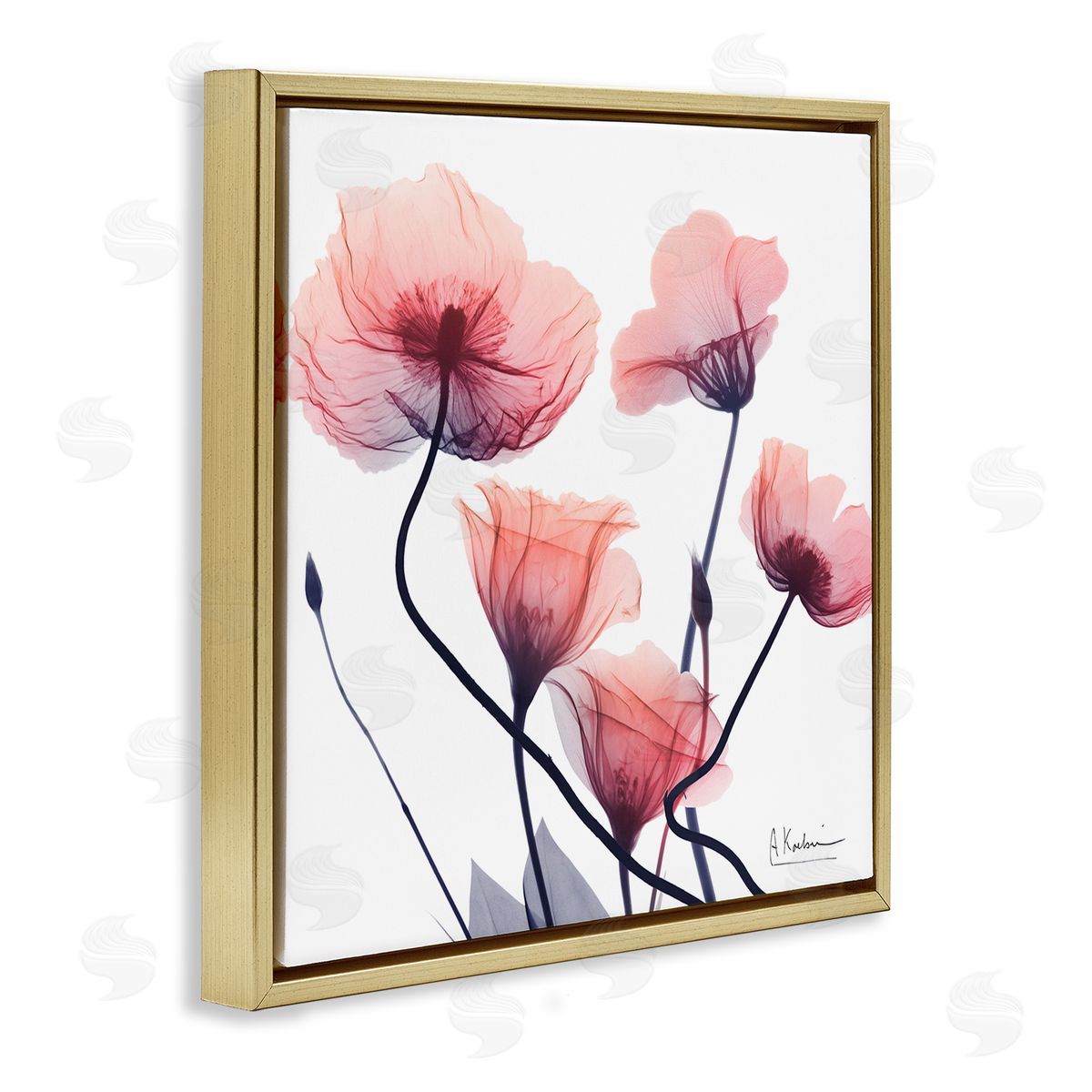 Pink Chic Simple Flowers Gold Floating Frame Canvas Wall Art, Home Decor by Albert Koetsier