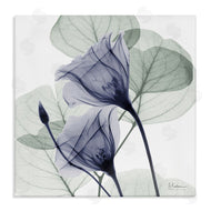 Albert Koetsier | Serene Tulips & Herbs