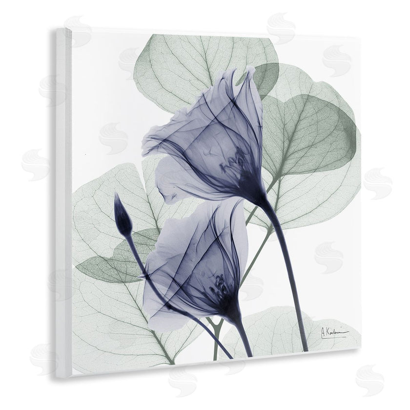 Albert Koetsier | Serene Tulips & Herbs
