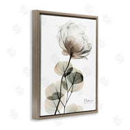 Albert Koetsier | Simple Elegant White Flower