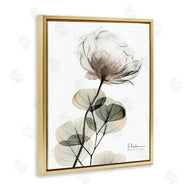 Albert Koetsier | Simple Elegant White Flower