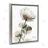 Albert Koetsier | Simple Elegant White Flower