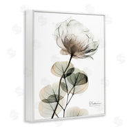 Albert Koetsier | Simple Elegant White Flower