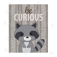 Kim Allen | Be Curious Woodland Raccoon