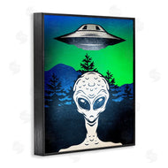Kim Allen | Alien and UFO Scene