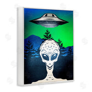 Kim Allen | Alien and UFO Scene
