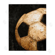 Kim Allen | Vintage Soccer Ball Closeup