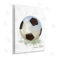 Matthew Piotrowicz | Soft Pastel Soccer Ball