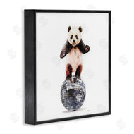 Amanda Greenwood | Panda Balancing on Disco Ball