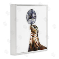 Amanda Greenwood | Seal Balancing Disco Ball