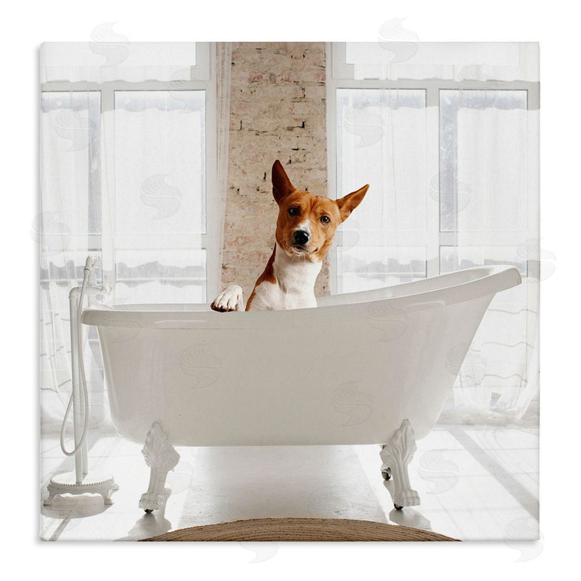 CAD Designs | Happy Dog in Bathroom Tub