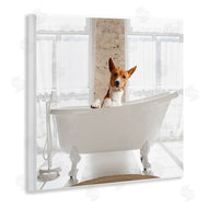 CAD Designs | Happy Dog in Bathroom Tub