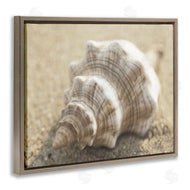 Dora Rotondella | Neutral Tone Conch Shell
