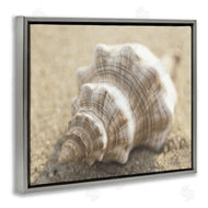 Dora Rotondella | Neutral Tone Conch Shell