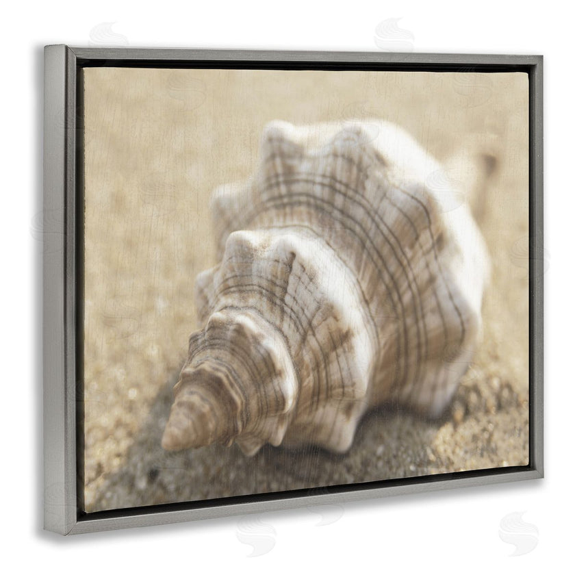 Dora Rotondella | Neutral Tone Conch Shell