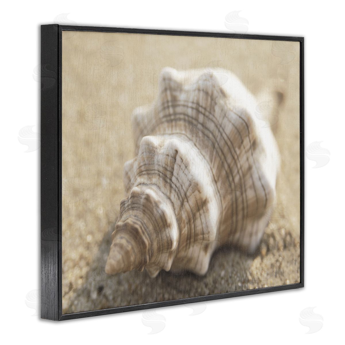 Neutral Tone Conch Shell Black Frame Print Wall Art, Home Decor by Dora Rotondella