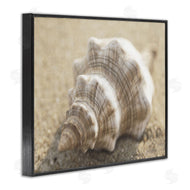 Dora Rotondella | Neutral Tone Conch Shell