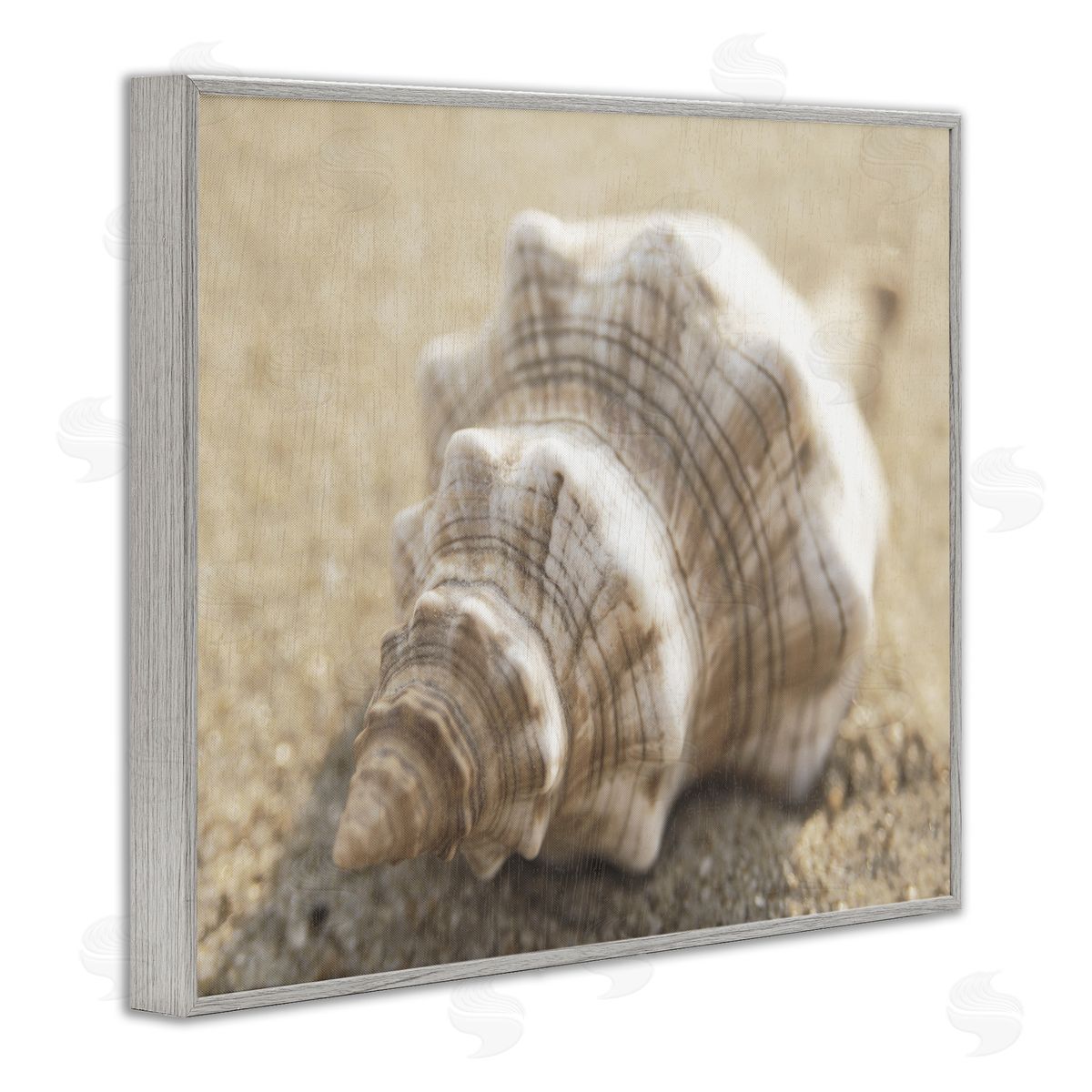 Neutral Tone Conch Shell Grey Frame Print Wall Art, Home Decor by Dora Rotondella