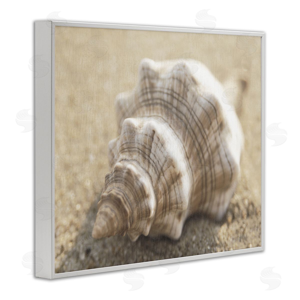 Neutral Tone Conch Shell White Frame Print Wall Art, Home Decor by Dora Rotondella