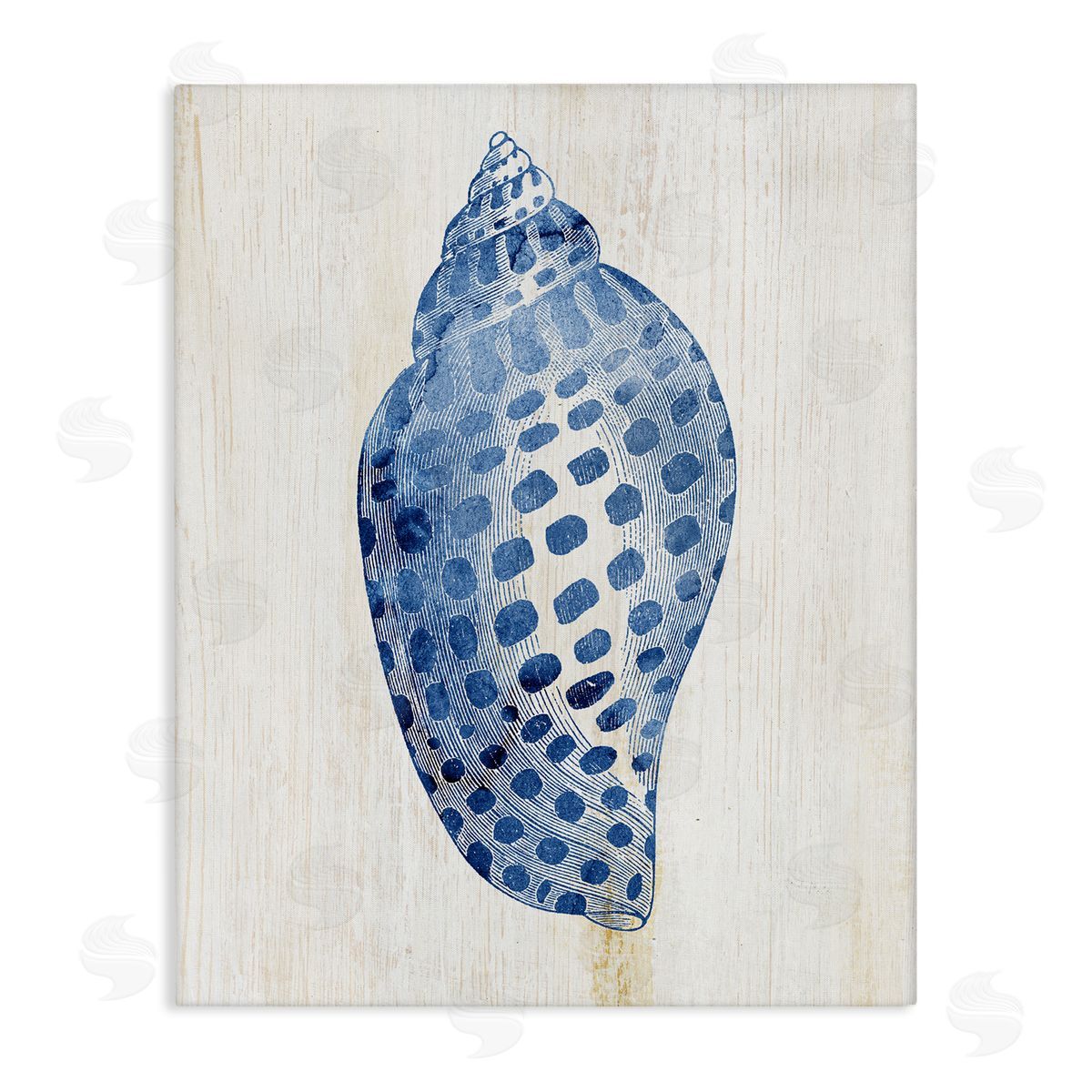 Spotted Blue Cowrie Shell Canvas Wall Art, Home Decor by Susan Arnot