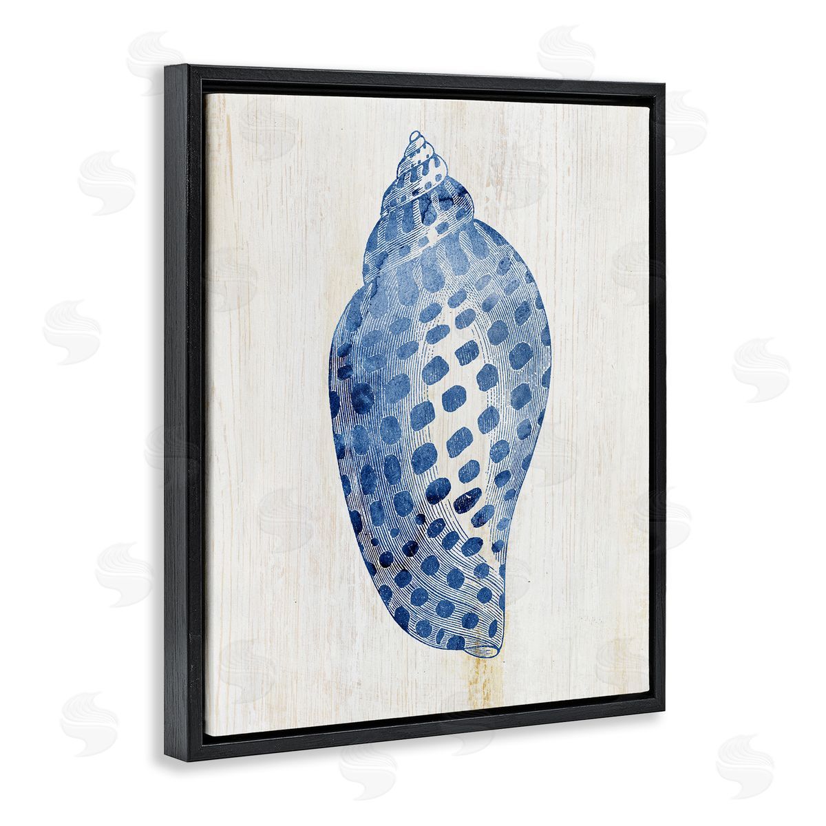 Spotted Blue Cowrie Shell Black Floating Frame Canvas Wall Art, Home Decor by Susan Arnot