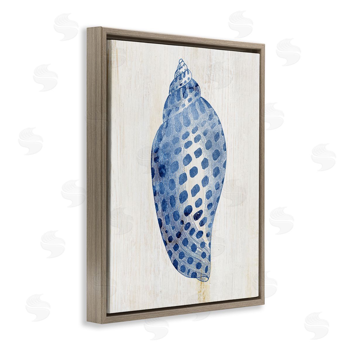 Spotted Blue Cowrie Shell Brown Floating Frame Canvas Wall Art, Home Decor by Susan Arnot