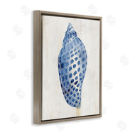 Susan Arnot | Spotted Blue Cowrie Shell
