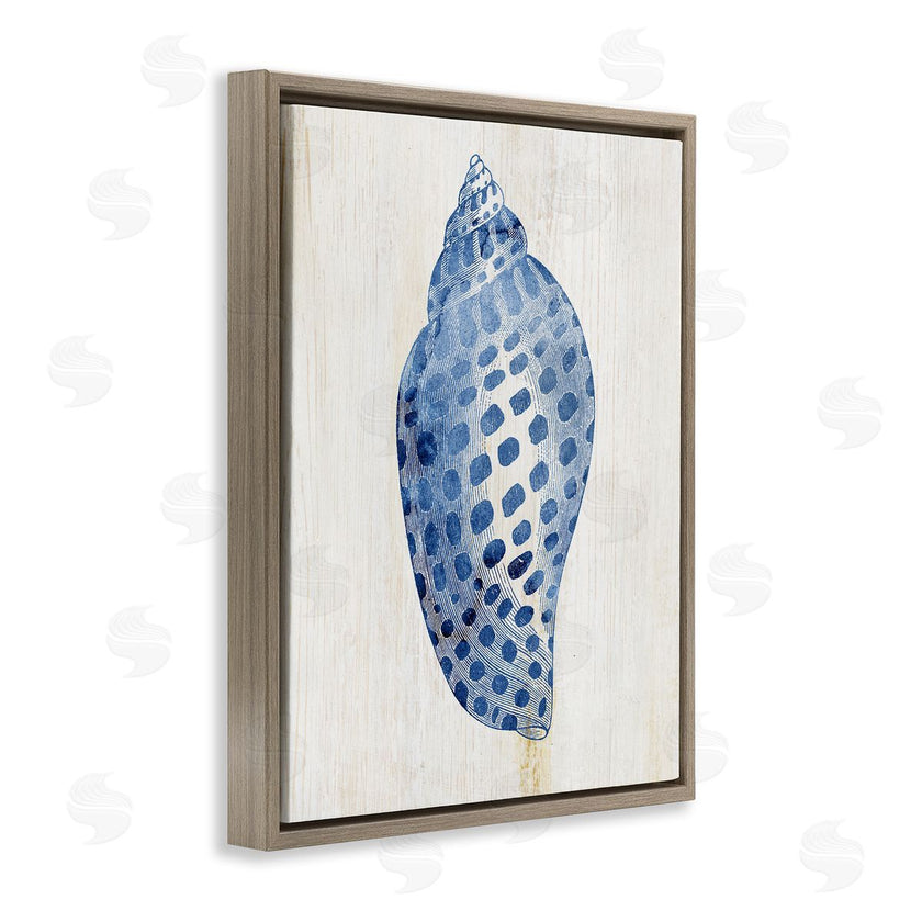 Susan Arnot | Spotted Blue Cowrie Shell