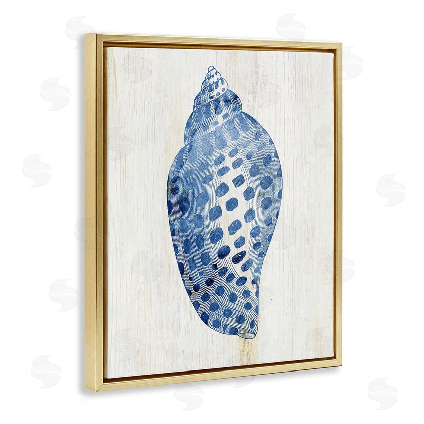 Susan Arnot | Spotted Blue Cowrie Shell